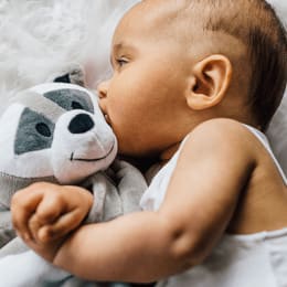 Riff Raff & Co Sleep Toys