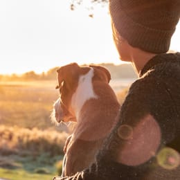 vet-n-pet DIRECT