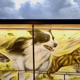Walkerville Vet
