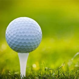 The House of Golf
