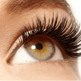 Locks Lash