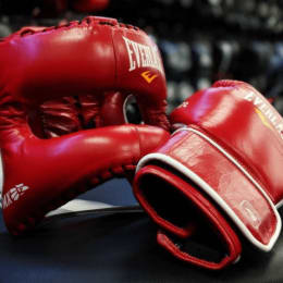 MMA Fight Store