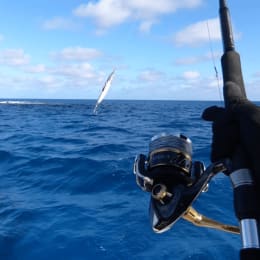 MO Tackle & Outdoors
