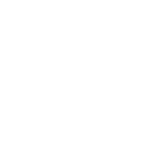 Soul Shoetique