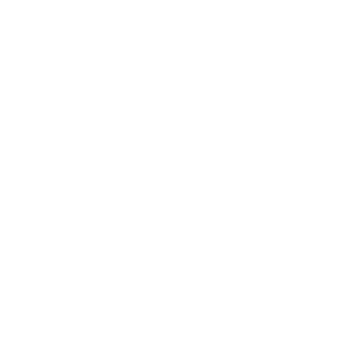 Shoes.com