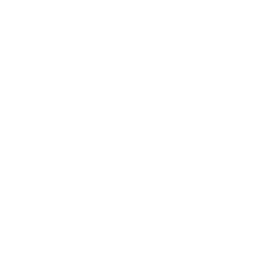 Original Penguin