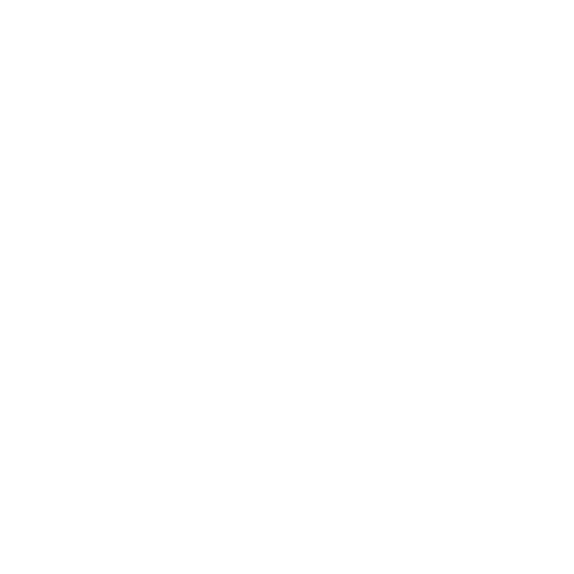 Speedo