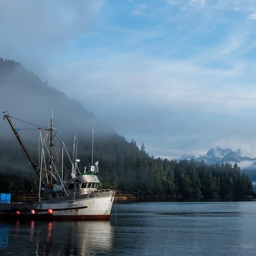 Vital Choice Wild Seafood & Organics
