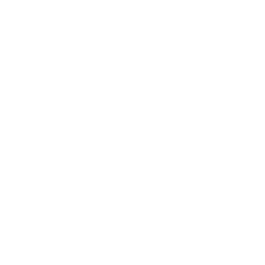 Anine Bing