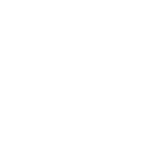 Sports Memorabilia