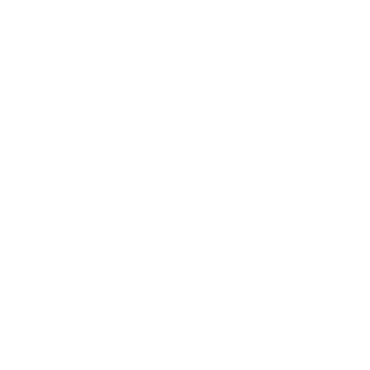 Ramy Brook