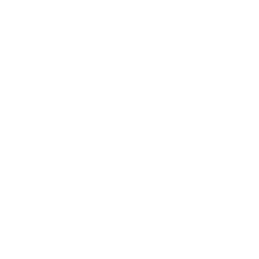 The Children's Place