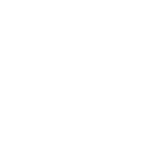Hey Dude Shoes