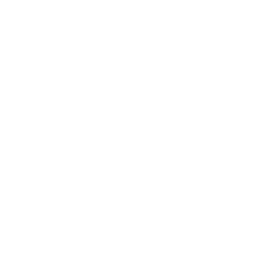 Wig Dealer