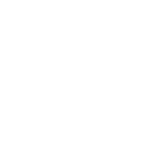 RR Auction