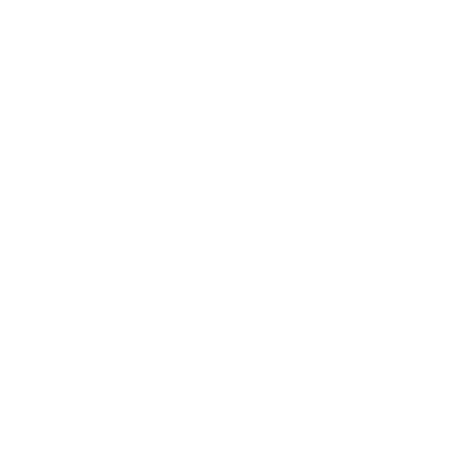 Magnetics SL