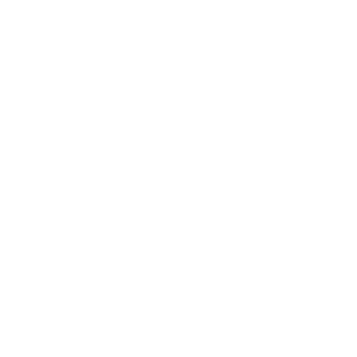 Vionic Shoes