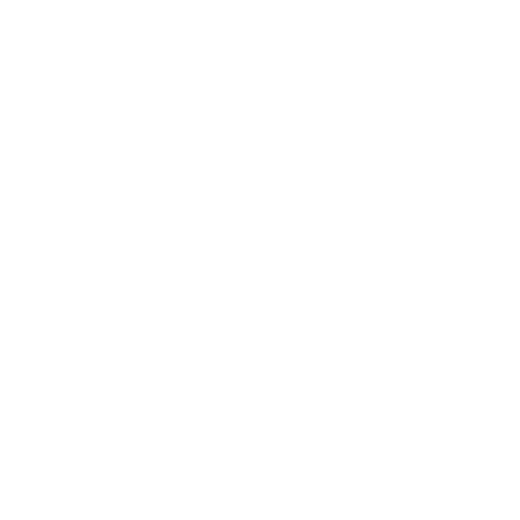 ABC Carpet & Home
