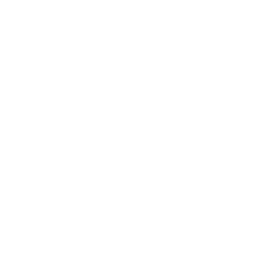 Lib Tech