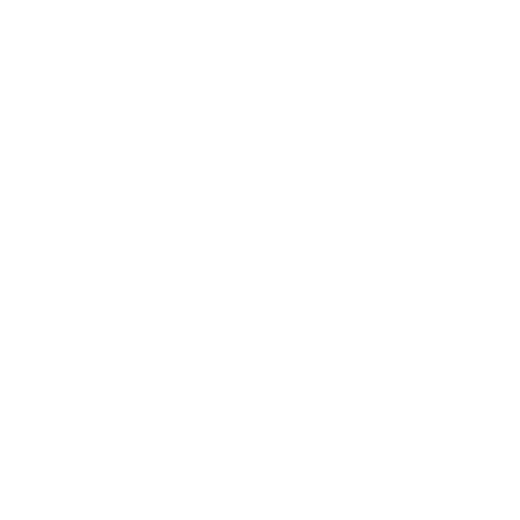 Morgan Lane