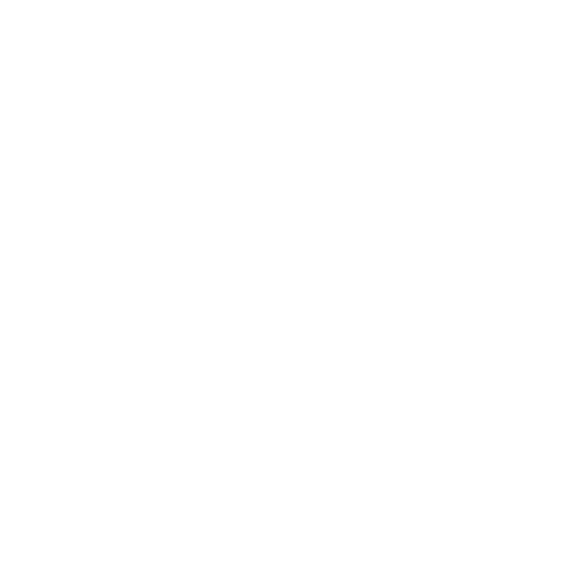 Bodum