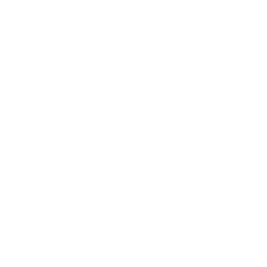 Southwest Airlines