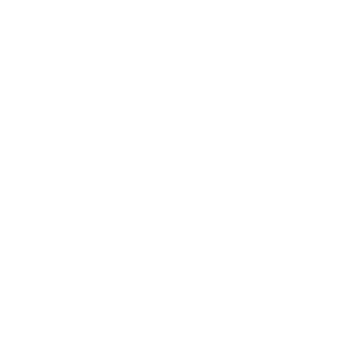 Indian Motorcycle