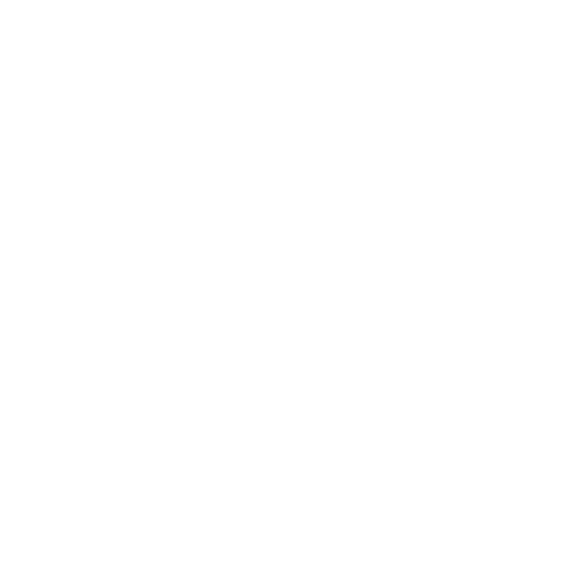 Rudy Project