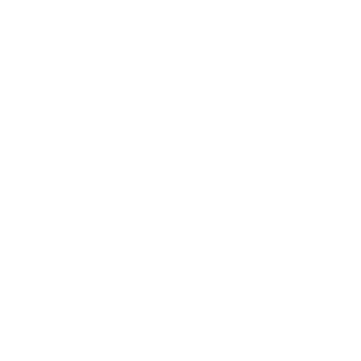 Acne Studios