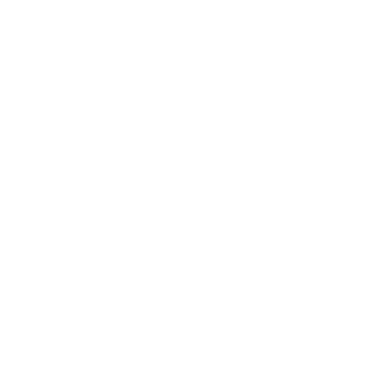 Sally Beauty