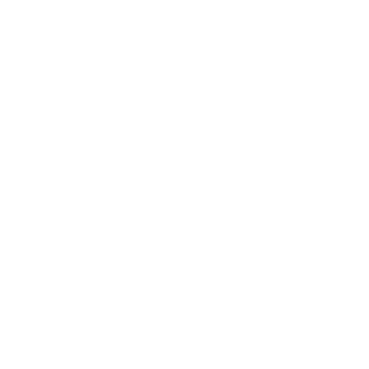 The Walking Company
