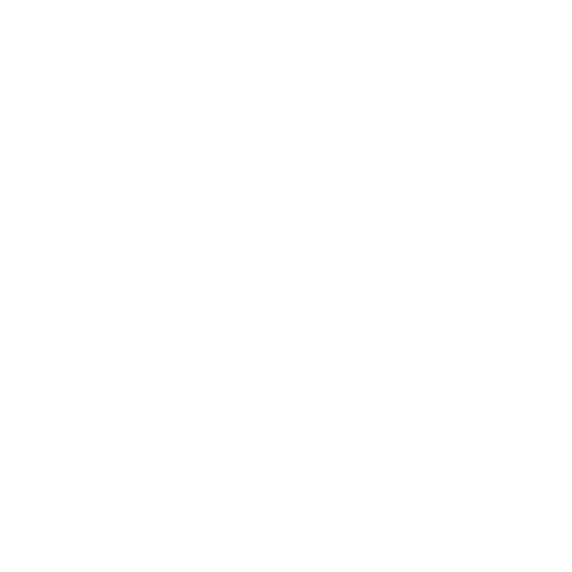 Nexar Dash Cams