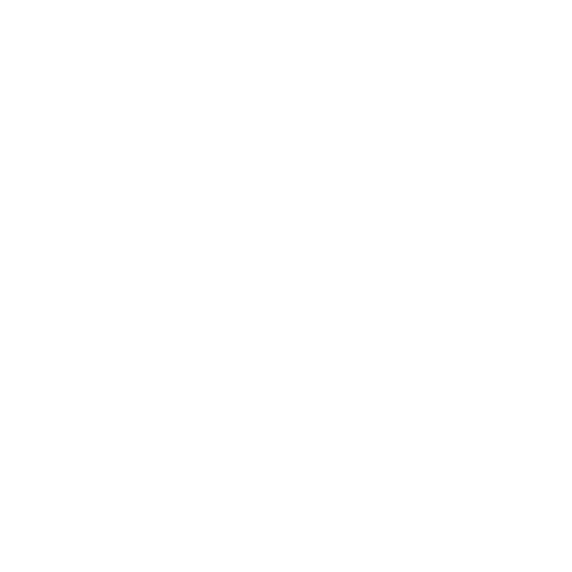 The Mint Julep Boutique