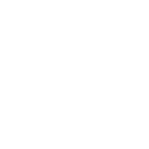 Crock Pot