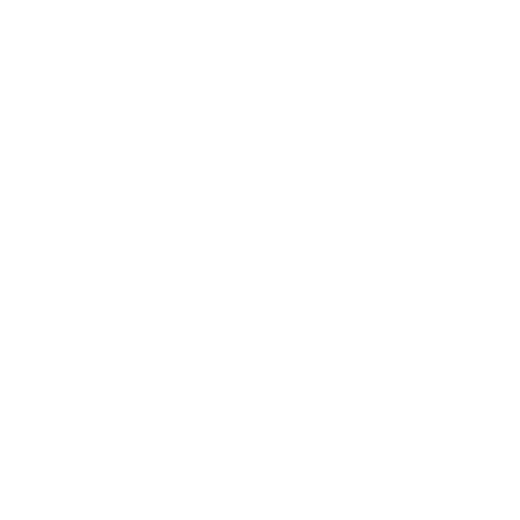 Donna Karan