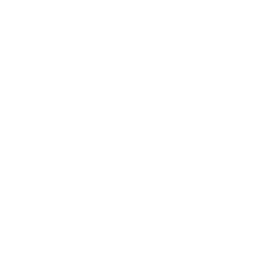 Trak Racer