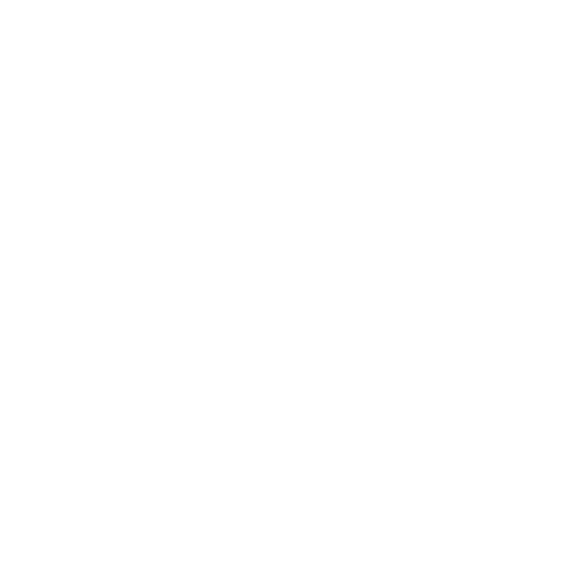 The Sak