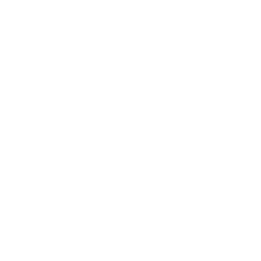 Vela Bikes