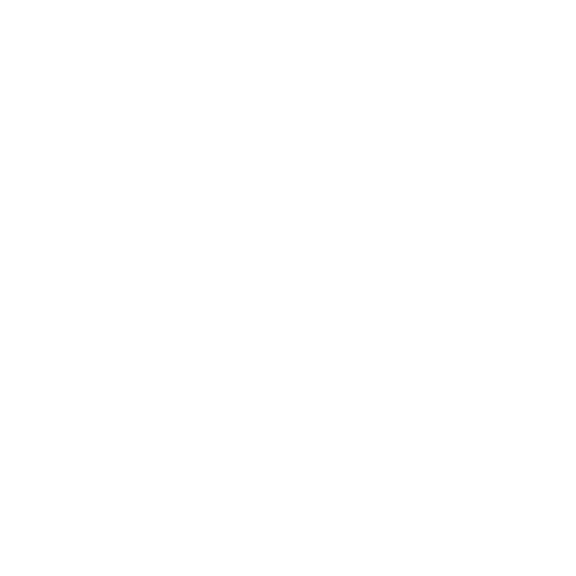 Ford and Wyatt