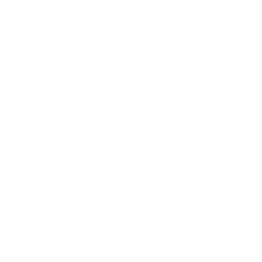 Fellow