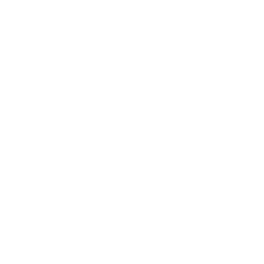 Hoka One One