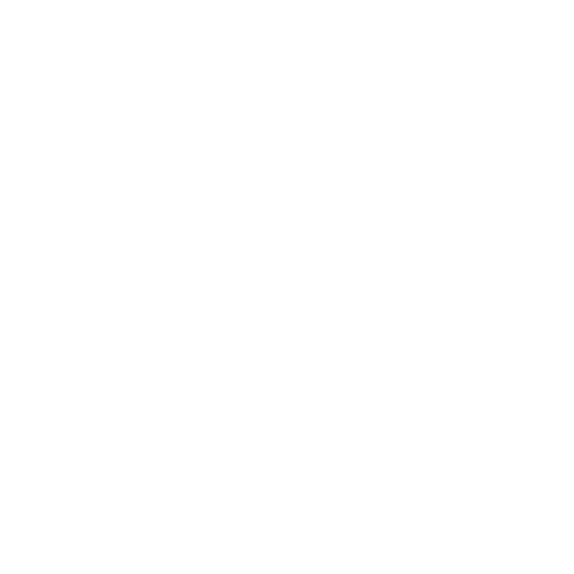 Victoria's Secret