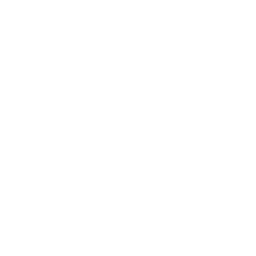 Brandy Melville