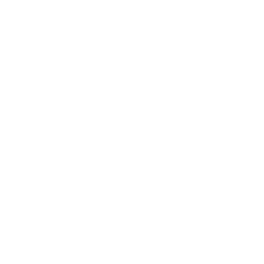 PÜR