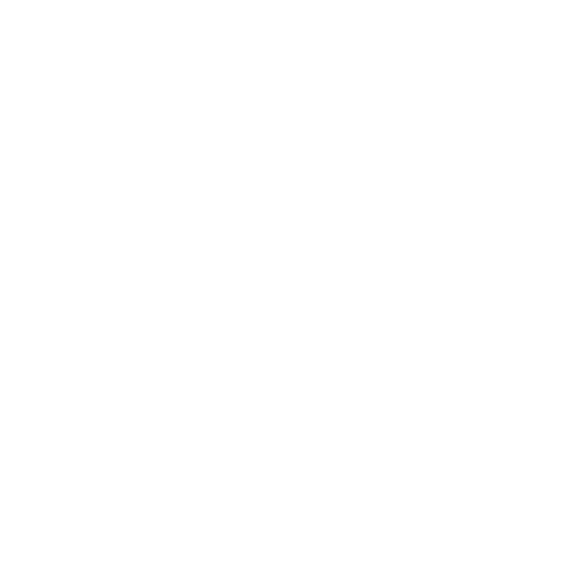 TAOS Footwear