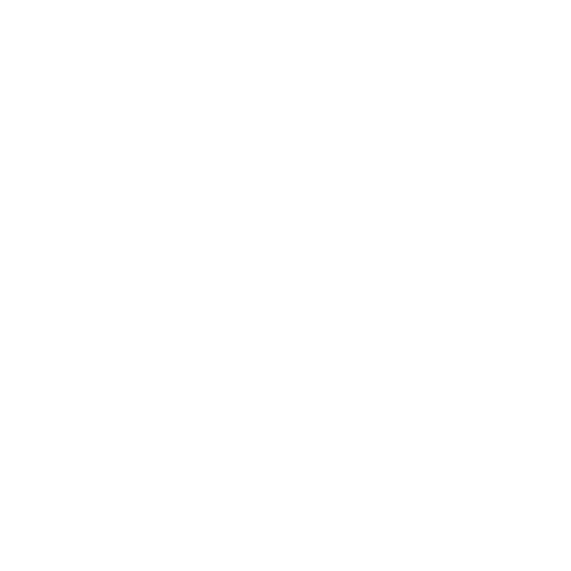 Retro Fighters