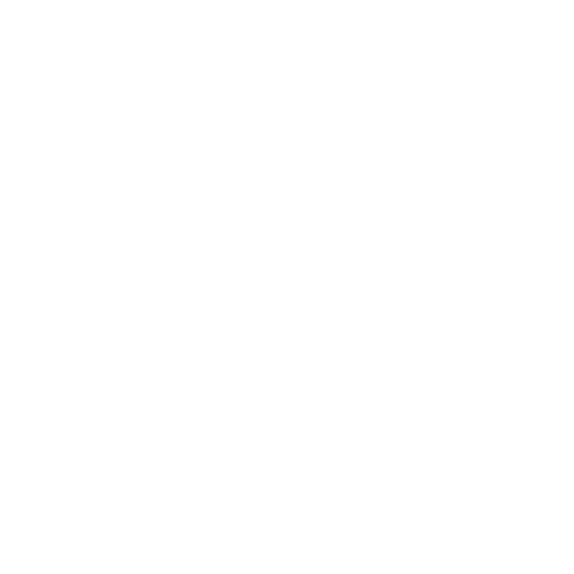 LifeStride