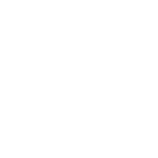 Red Wing Shoes