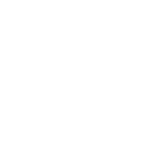 Necessaire