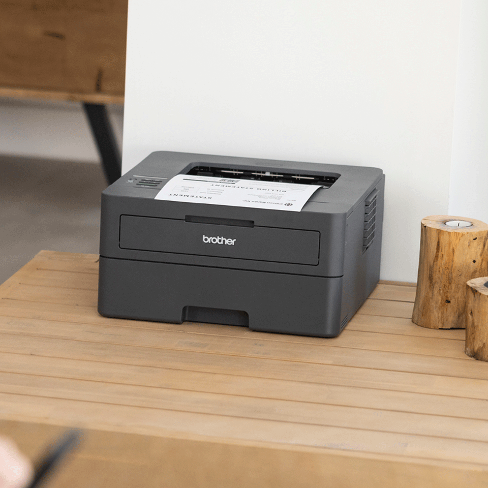 brother-hl-l2400dwe